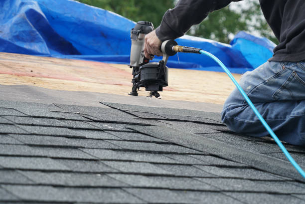 Best Storm Damage Roof Repair  in Brighton, IL