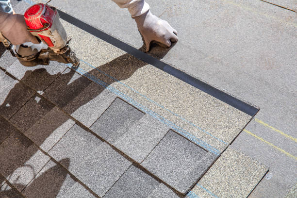 Best Metal Roofing Contractor  in Brighton, IL