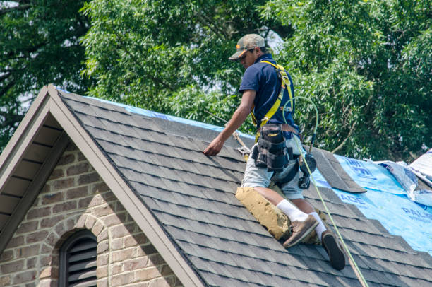 Best Roof Repair Services  in Brighton, IL